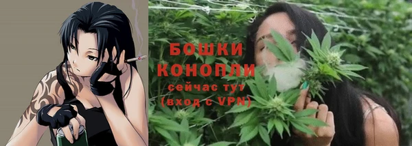 сатива Арсеньев
