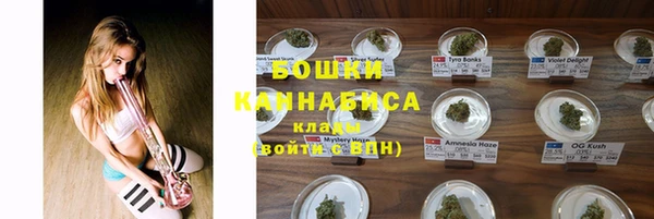 сатива Арсеньев
