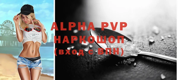 сатива Арсеньев