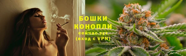 сатива Арсеньев