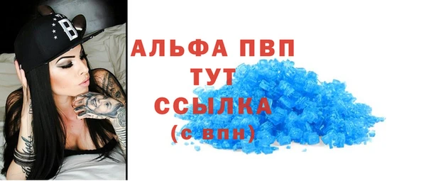 сатива Арсеньев