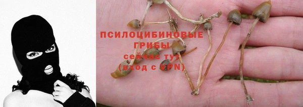 дживик Армянск