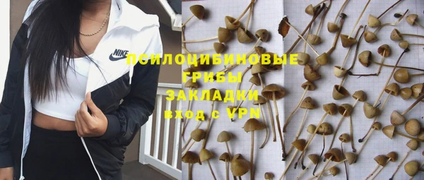сатива Арсеньев