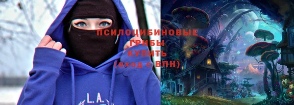 сатива Арсеньев